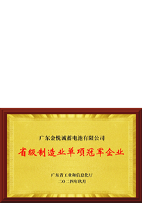 广东省2024年省级制造业单项冠军企业